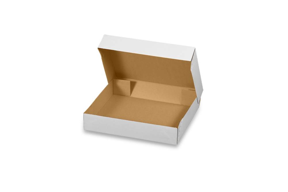 Faltbodenschachtel E-Commerce, wiederverschließbar (510x310x100 mm)