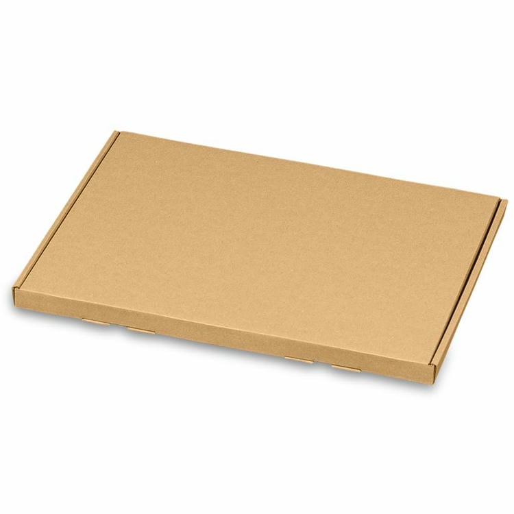 Maxibriefkarton (345x245x17 mm)